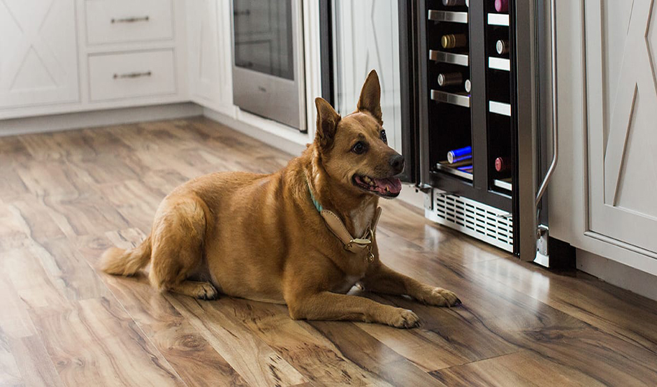 Pet Friendly Laminate Flooring